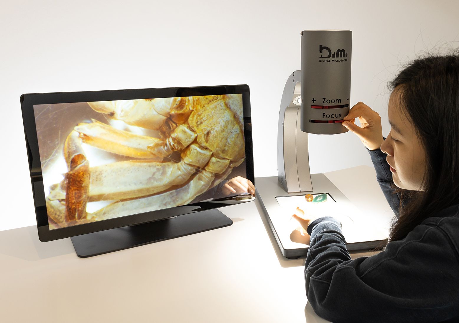 DiMi - Digital Microscope